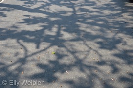 Elly Weiblen Schatten Paris 2012-2015-4.jpg